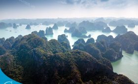 tour du lich ha long du lich mien bac the sinh sinh cafe001 20230426 0937221