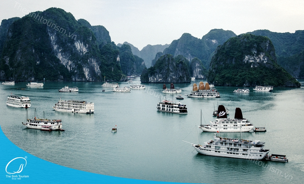 tour-du-lich-ha-long–du-lich-mien-bac-the-sinh-sinh-cafe010_20230426_0937281