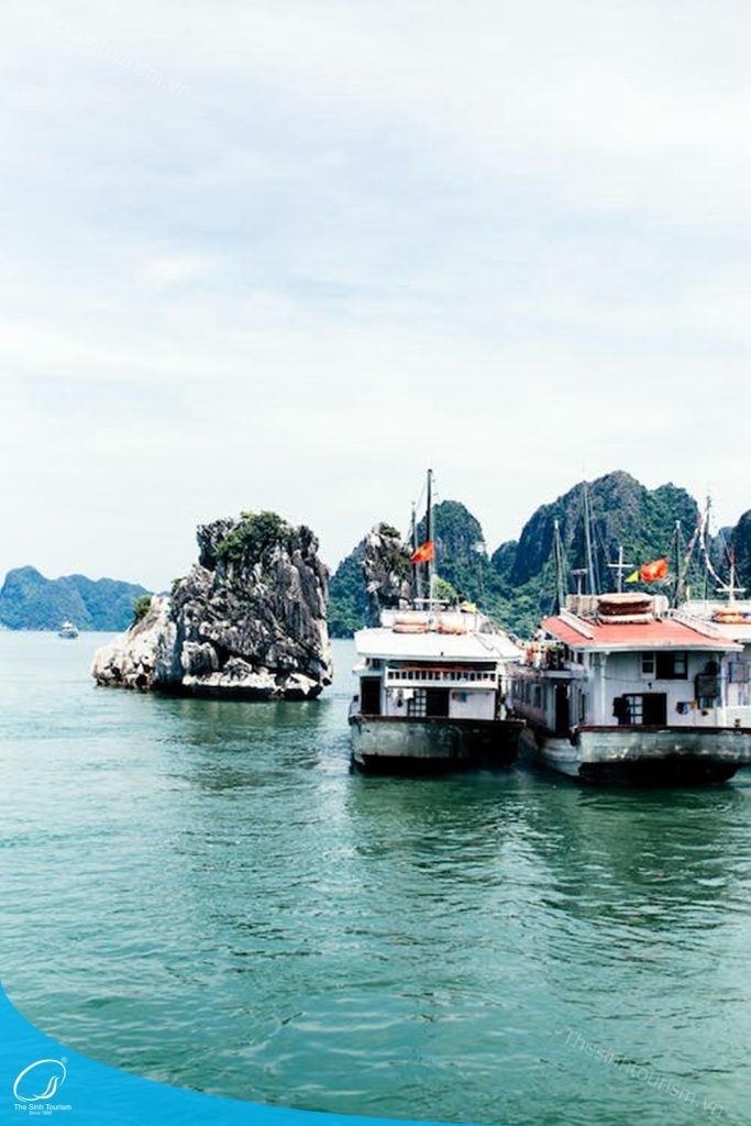 tour-du-lich-ha-long–du-lich-mien-bac-the-sinh-sinh-cafe022_20230427_0939531