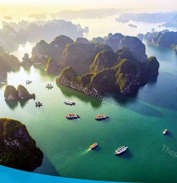 Thế SInh Tourism - Bảng báo giá tour du lịch Hạ Long