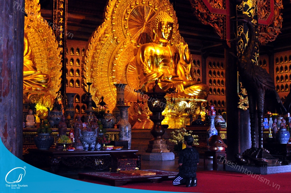 tour-du-lich-ninh-binh-trang-an-bai-dinh-du-lich-mien-bac-hang-mua-thesinh-sinhcafe028_20230426_0933021