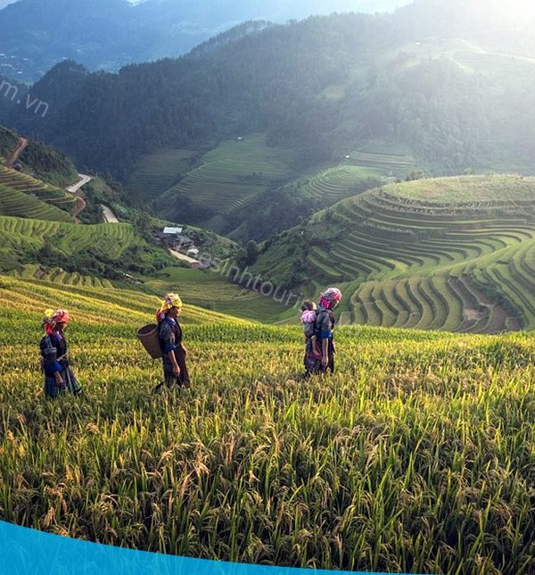 Tour Hạ Long - Sapa