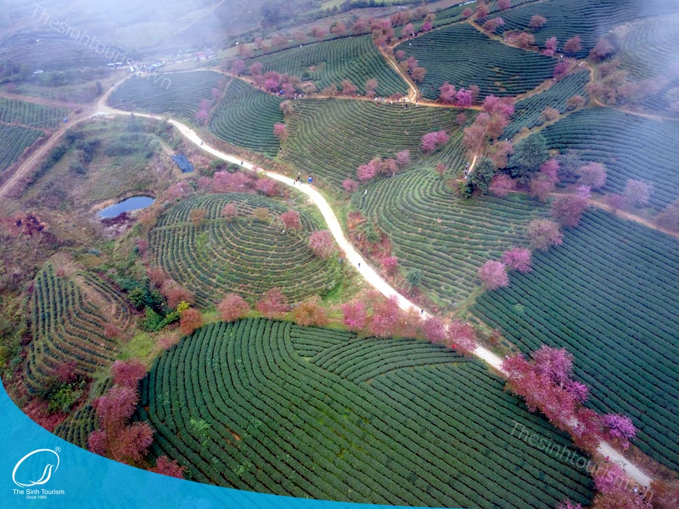 tour-du-lich-sapa-du-lich-mien-bac-fansipan-thesinh-sinhcafe004_20230427_0944221