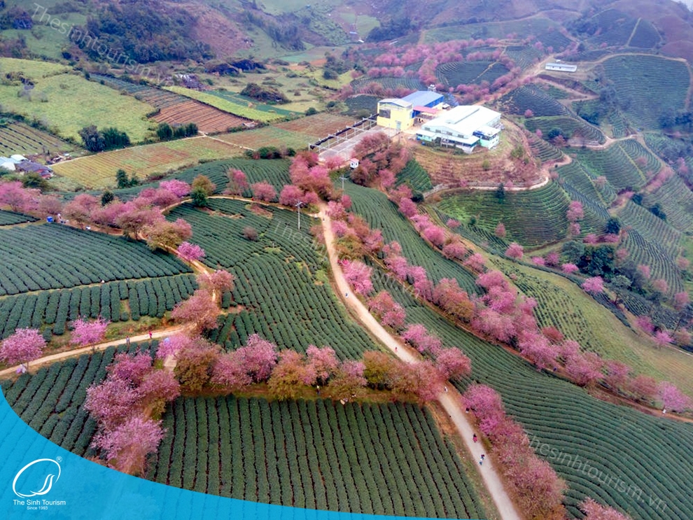 tour-du-lich-sapa-du-lich-mien-bac-fansipan-thesinh-sinhcafe005_20230427_0944221