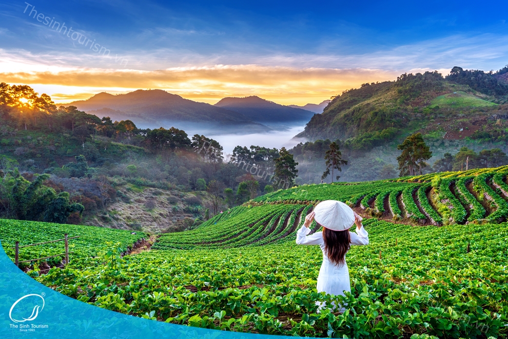 tour-du-lich-sapa-du-lich-mien-bac-fansipan-thesinh-sinhcafe007_20230424_1914591
