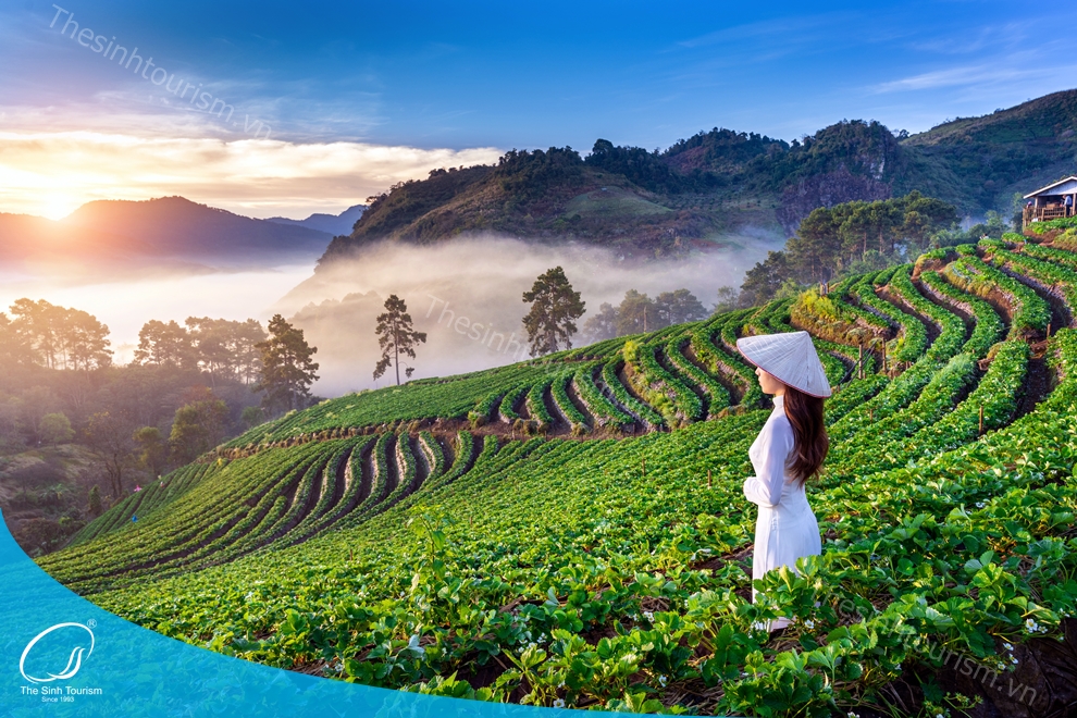 tour-du-lich-sapa-du-lich-mien-bac-fansipan-thesinh-sinhcafe008_20230424_1914591