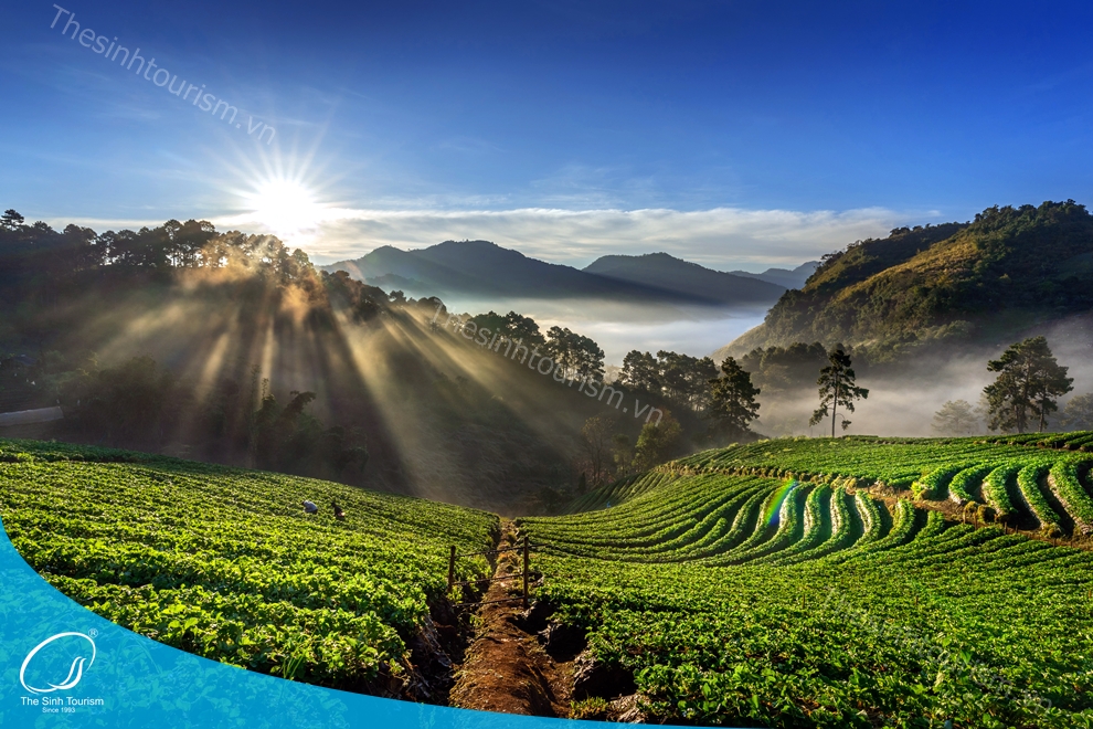 tour-du-lich-sapa-du-lich-mien-bac-fansipan-thesinh-sinhcafe009_20230424_1915001