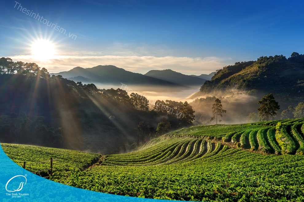 tour-du-lich-sapa-du-lich-mien-bac-fansipan-thesinh-sinhcafe010_20230424_1915001