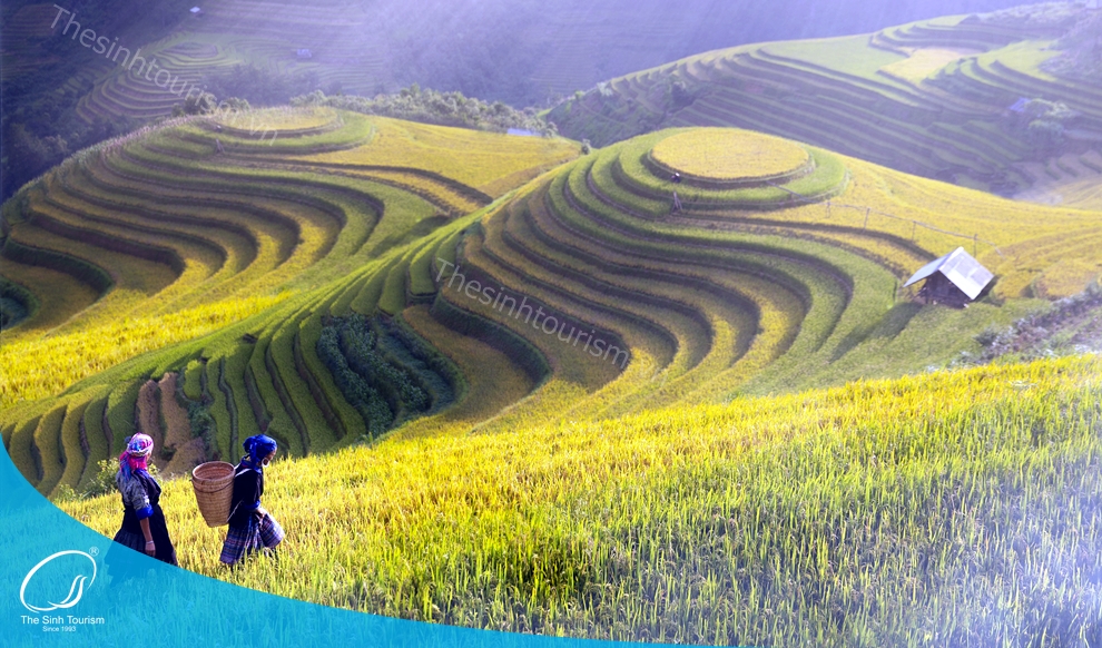 tour-du-lich-sapa-du-lich-mien-bac-fansipan-thesinh-sinhcafe025_20230424_1915071