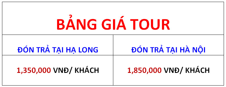 gia hl 5 sao 8 tieng
