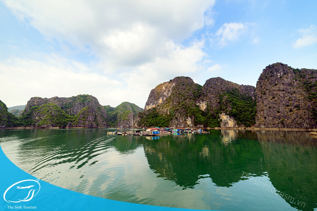 hinh-anh-tour-cat-ba-vinh-lan-ha-the-sinh-tourist-sinh-cafe-010-20230525