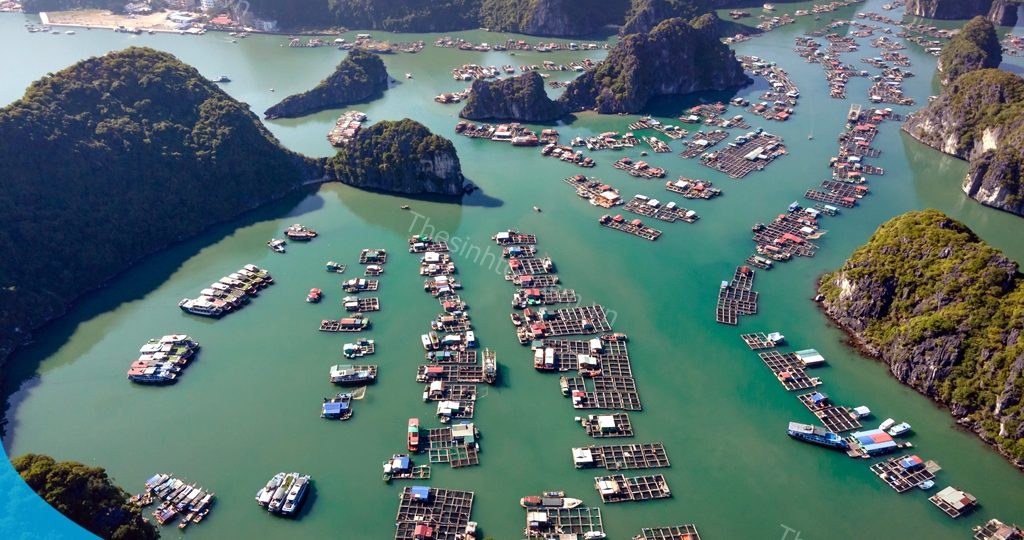 Du lịch Đảo Cát Bà - Tham quan Hạ Long