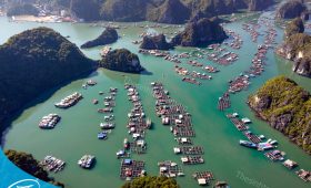 Du lịch Đảo Cát Bà - Tham quan Hạ Long