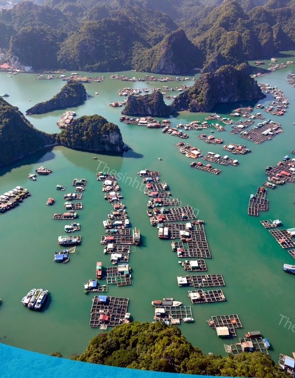 Du lịch Đảo Cát Bà - Tham quan Hạ Long