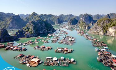 Du lịch Cát Bà dịp lễ cùng Sinh Cafe Travel