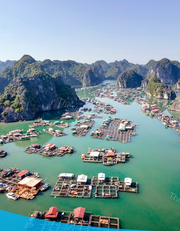 Du lịch Cát Bà dịp lễ cùng Sinh Cafe Travel