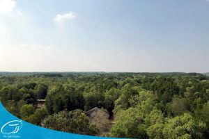 TOUR CẦN GIỜ ĐẢO KHỈ 1 NGÀY 5 hinh anh tour du lich can gio dao khi the sinh tourism sinh cafe 3 20230527