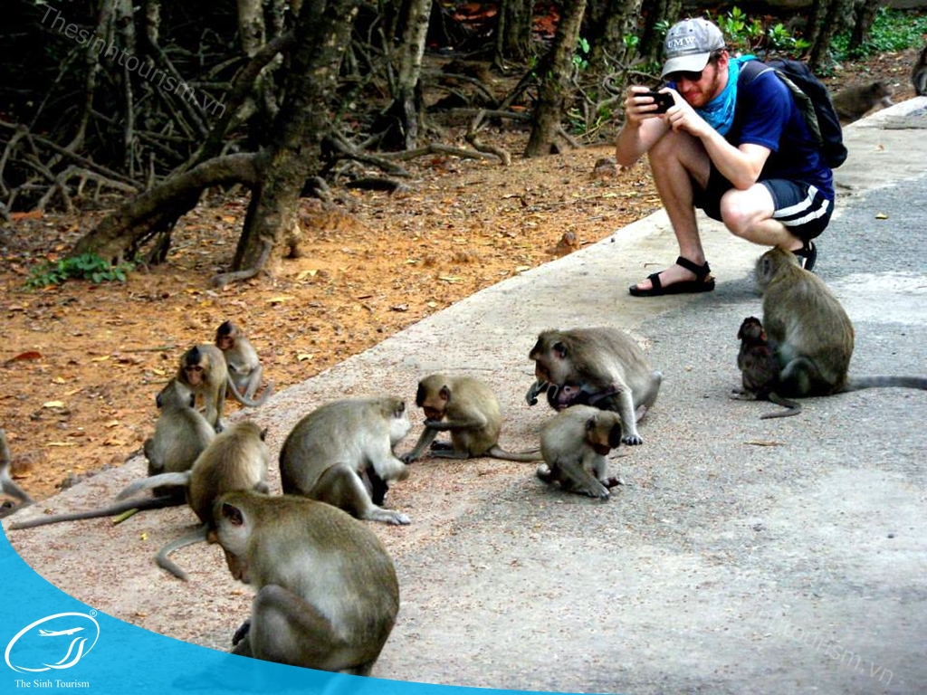 hinh-anh-tour-du-lich-can-gio-dao-khi-the-sinh-tourism-sinh-cafe-7-20230527