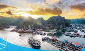 Đi du lịch đảo Cát Bà cùng Thế Sinh Tourist