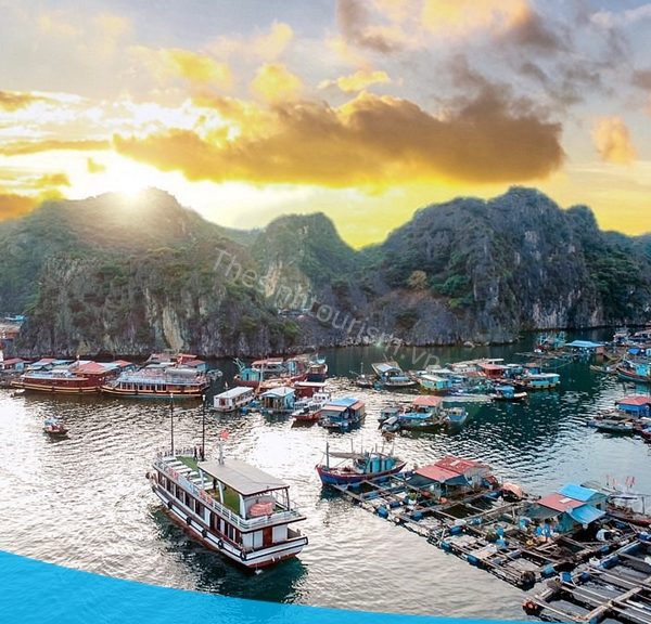 Đi du lịch đảo Cát Bà cùng Thế Sinh Tourist