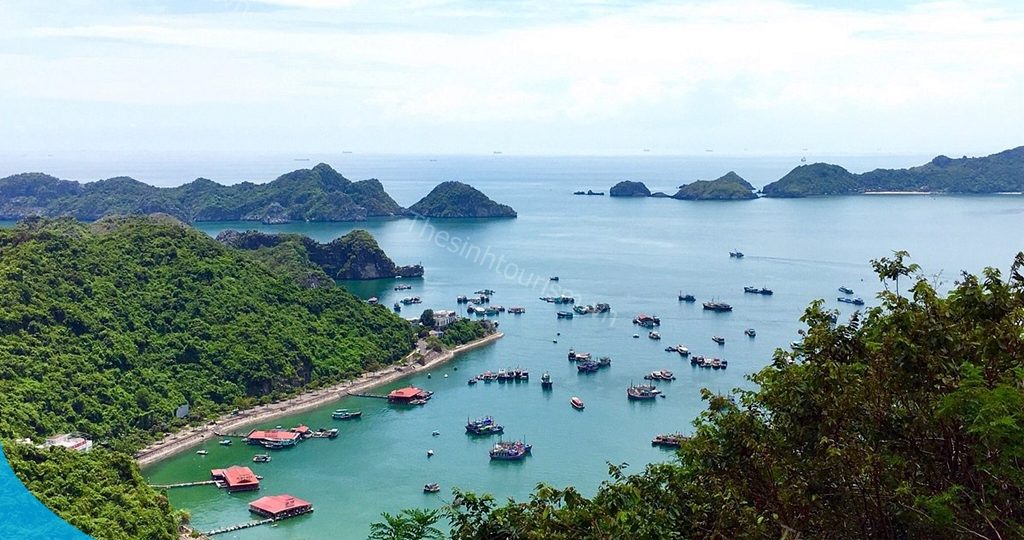 BẢNG GIÁ TOUR CÁT BÀ GIÁ RẺ NHẤT 2025 1 Du lịch Cát Bà dịp lễ cùng Sinh Cafe Travel