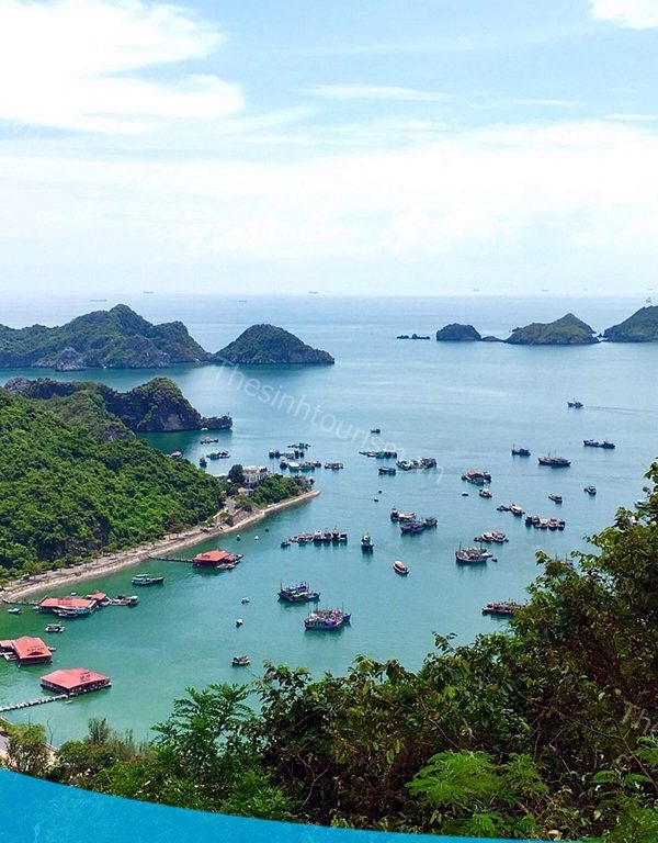 Du lịch Cát Bà dịp lễ cùng Sinh Cafe Travel