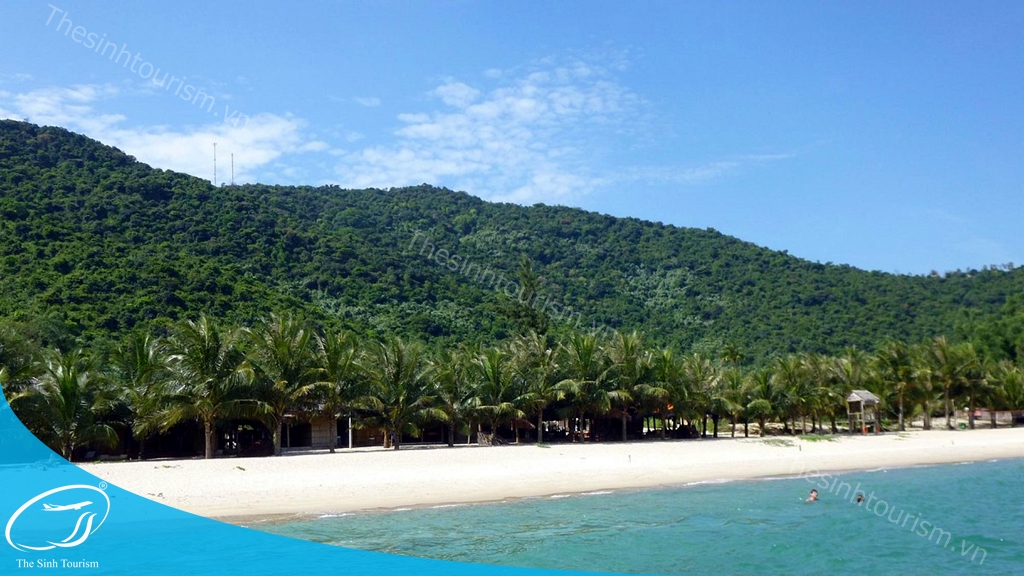 hinh-anh-tour-du-lich-da-nang-cu-lao-cham-the-sinh-tourism-sinh-cafe-10-20230527