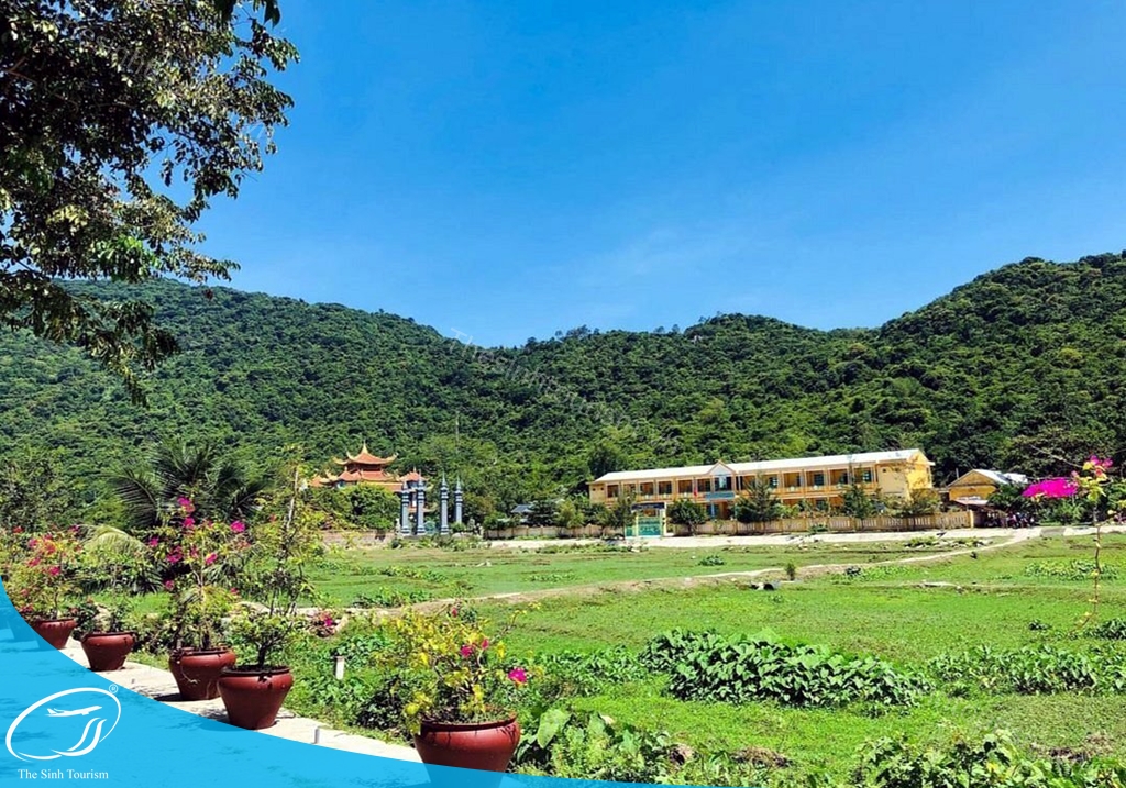 hinh-anh-tour-du-lich-da-nang-cu-lao-cham-the-sinh-tourism-sinh-cafe-13-20230527