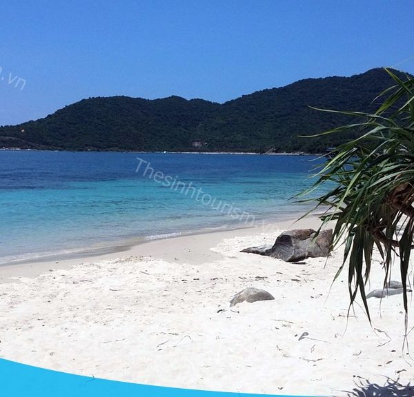 Thế Sinh Tourism - Tour Đà Nẵng Hội An Bà Nà Cù Lao Chàm 4 ngày 3 đêm