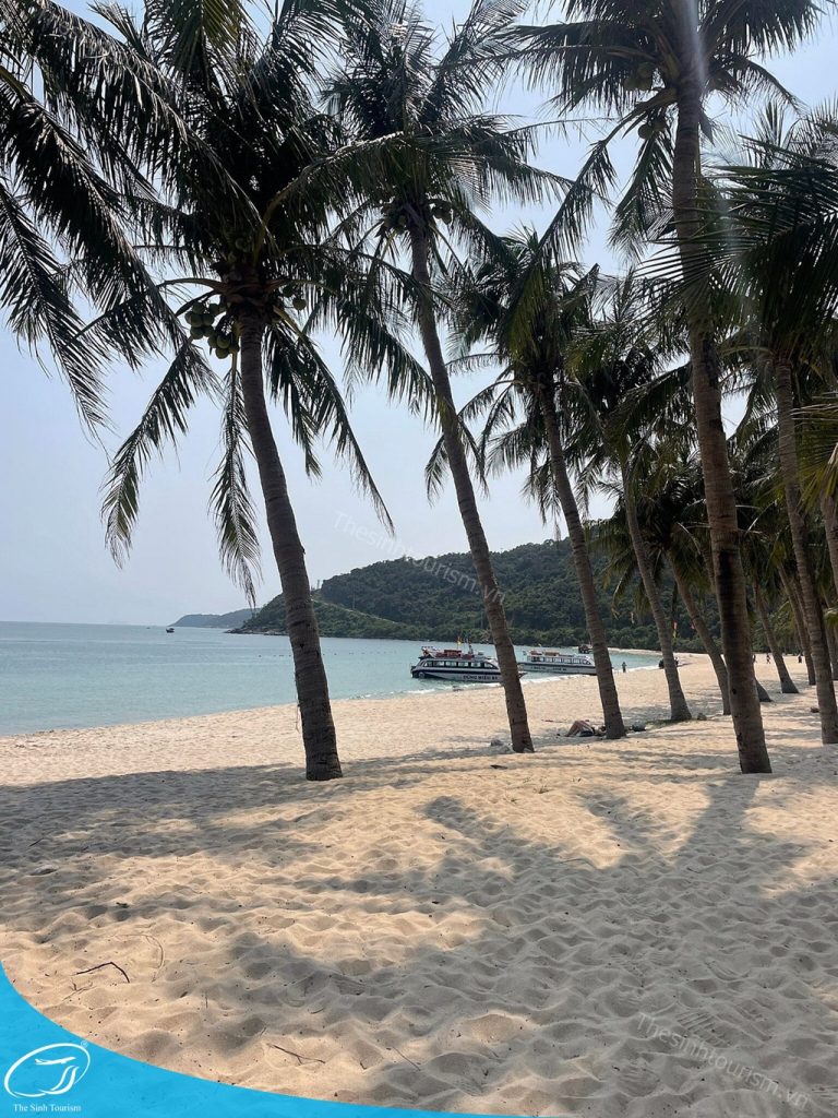 hinh-anh-tour-du-lich-da-nang-cu-lao-cham-the-sinh-tourism-sinh-cafe-2-20230527