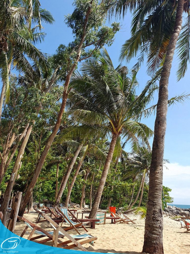 hinh-anh-tour-du-lich-da-nang-cu-lao-cham-the-sinh-tourism-sinh-cafe-7-20230527