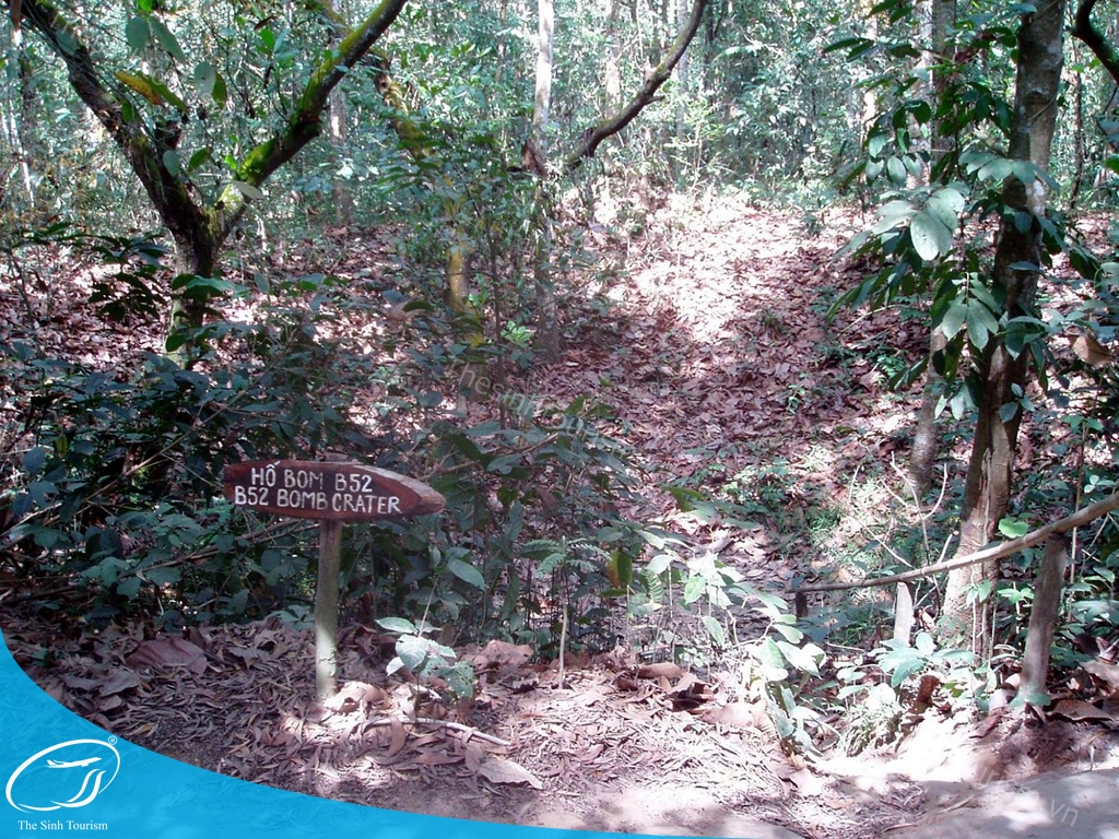 hinh-anh-tour-du-lich-dia-dao-cu-chi-the-sinh-tourism-sinh-cafe-1-20230527