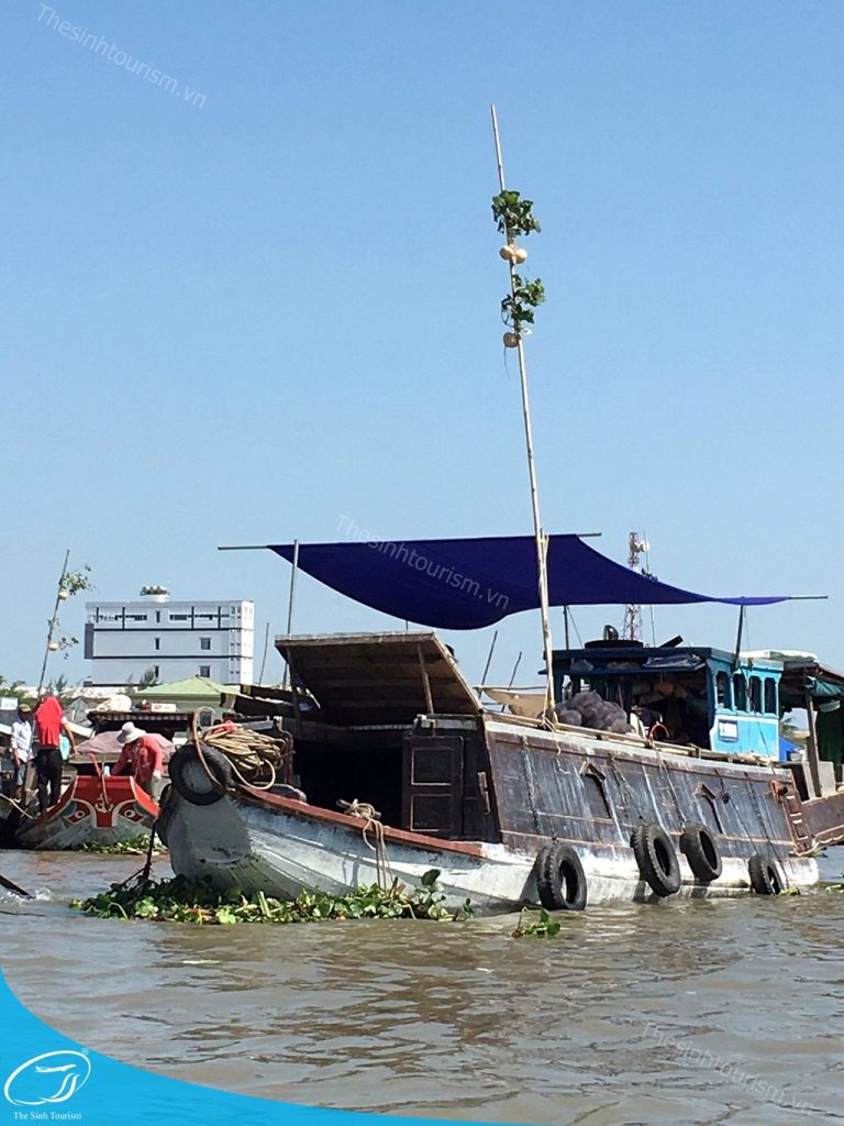 hinh-anh-tour-du-lich-mien-tay-can-tho-cho-noi-cai-rang-the-sinh-tourism-sinh-cafe-11-20230527