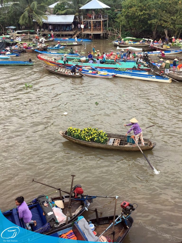 SinhCafe - Cùng bạn khám phá những điểm đến độc đáo tại Việt Nam 9 hinh anh tour du lich mien tay can tho cho noi cai rang the sinh tourism sinh cafe 13 20230527