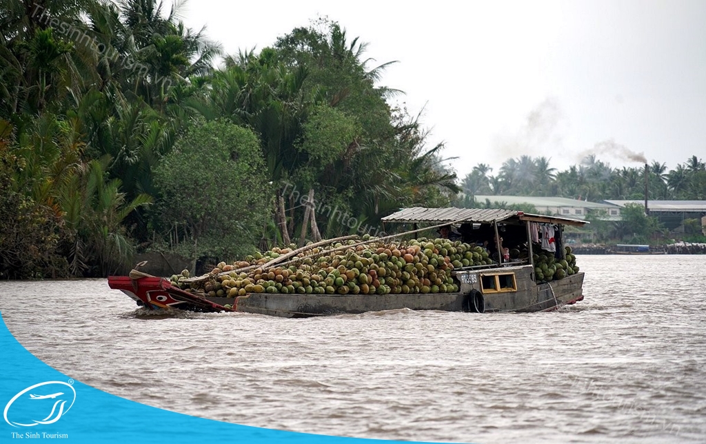 hinh-anh-tour-du-lich-mien-tay-mekong-the-sinh-tourism-sinh-cafe-15-20230527