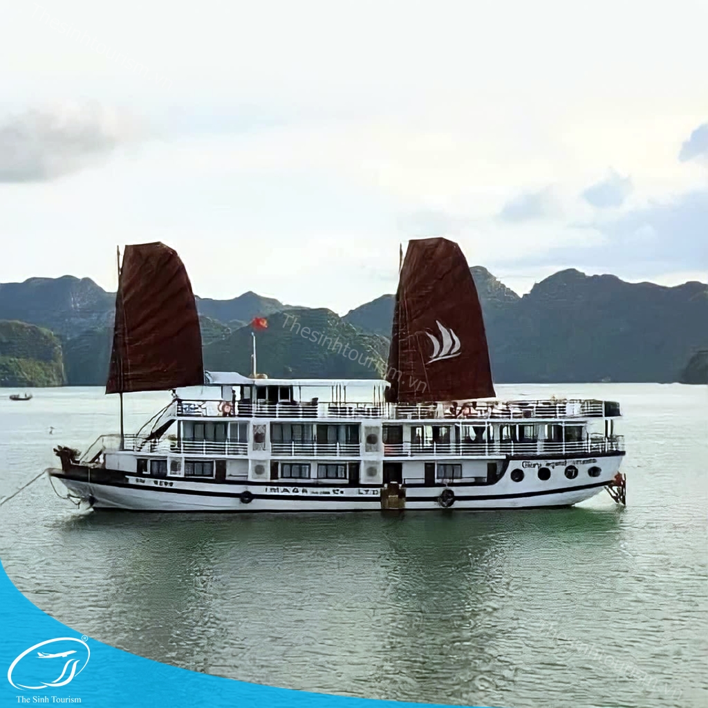 hinh-anh-tour-du-thuyen-ha-long-4-le-journey-the-sinh-tourism-sinh-cafe-005-20230525