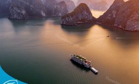 Đơn vị tổ chức tour Hạ Long uy tín chuyên nghiệp - Thế Sinh Tourism