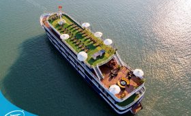 hinh anh tour du thuyen ha long 5 sao dragon bay the sinh tourism sinh cafe 032 20230525