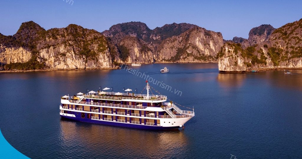 Tàu Du Lịch Hạ Long - Các Dòng Tàu Được Ưa Chuộng Nhất 1 hinh anh tour du thuyen ha long 5 sao dragon bay the sinh tourism sinh cafe 033 20230525