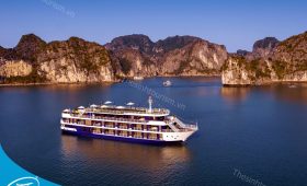 hinh anh tour du thuyen ha long 5 sao dragon bay the sinh tourism sinh cafe 033 20230525