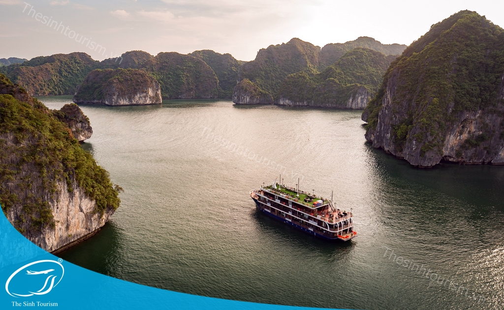 hinh-anh-tour-du-thuyen-ha-long-5-sao-lapandora-bay-the-sinh-tourism-sinh-cafe-052-20230525