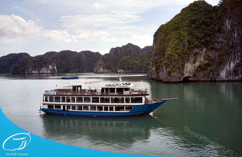 hinh-anh-tour-du-thuyen-ha-long-lh-lapandora-the-sinh-tourism-sinh-cafe-004-20230525