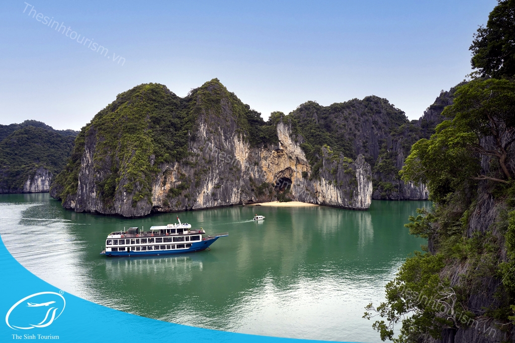 Lịch Trình Đi Hạ Long Chi Tiết Cho Người Đi Lần Đầu 4 hinh anh tour du thuyen ha long lh lapandora the sinh tourism sinh cafe 005 20230525