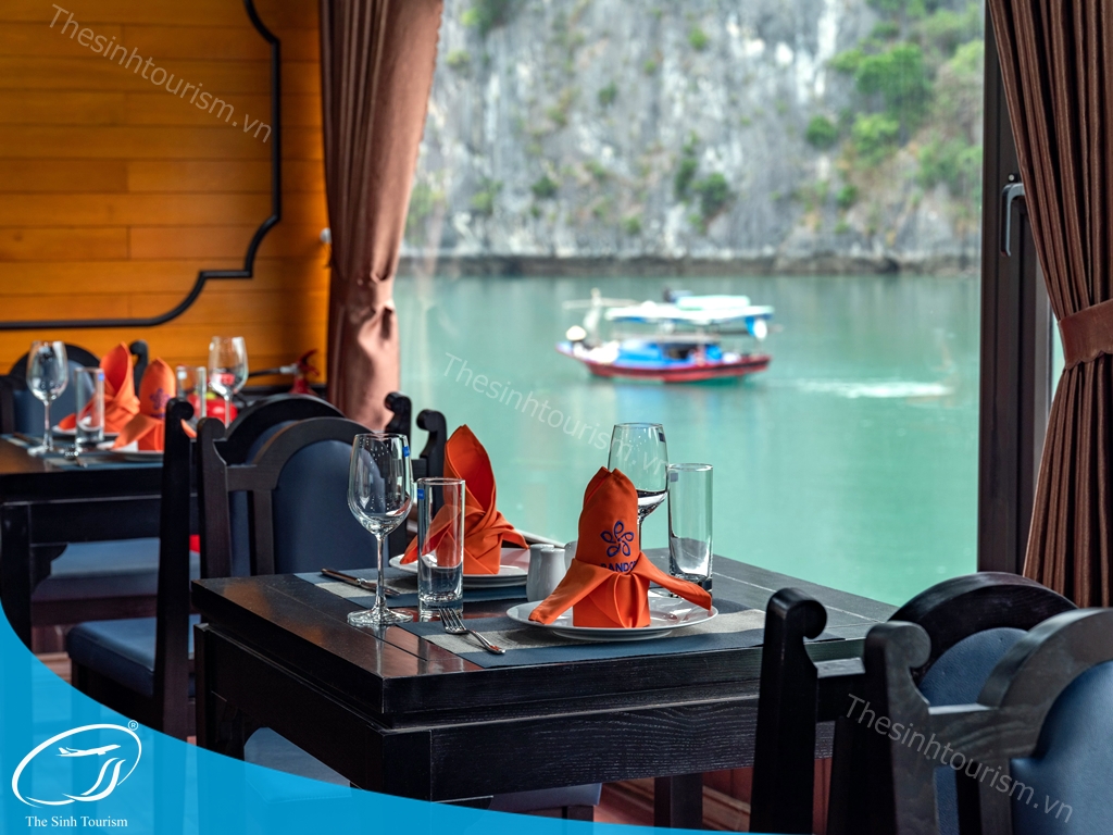 Kinh Nghiệm Đi Du Lịch Hạ Long Cho Người Đi Lần Đầu 10 hinh anh tour du thuyen ha long lh lapandora the sinh tourism sinh cafe 018 20230525