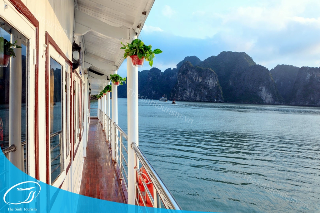 tour-du-lich-du-thuyen-ha-long-chill-sinh-cafe-the-sinh-tourism014-20230523