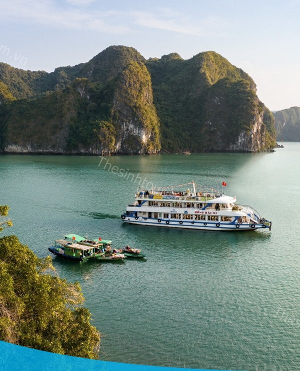 Tour du thuyền Hạ Long 1 ngày