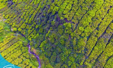 Khám phá những điểm đến tại Tây Bắc cùng Thế Sinh Tourism