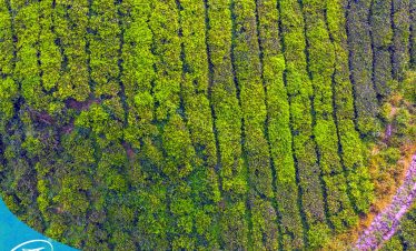 Tour Mộc Châu Tà Xùa