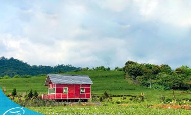 Tour Mộc Châu tà Xùa 2 ngày 1 đêm