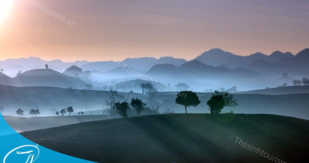 Tour Tây Bắc Mù Cang Chải Sapa - Lai Châu - Điện Biên - Mộc Châu - Mai Châu 5 ngày 4 đêm - Thế Sinh Tourism